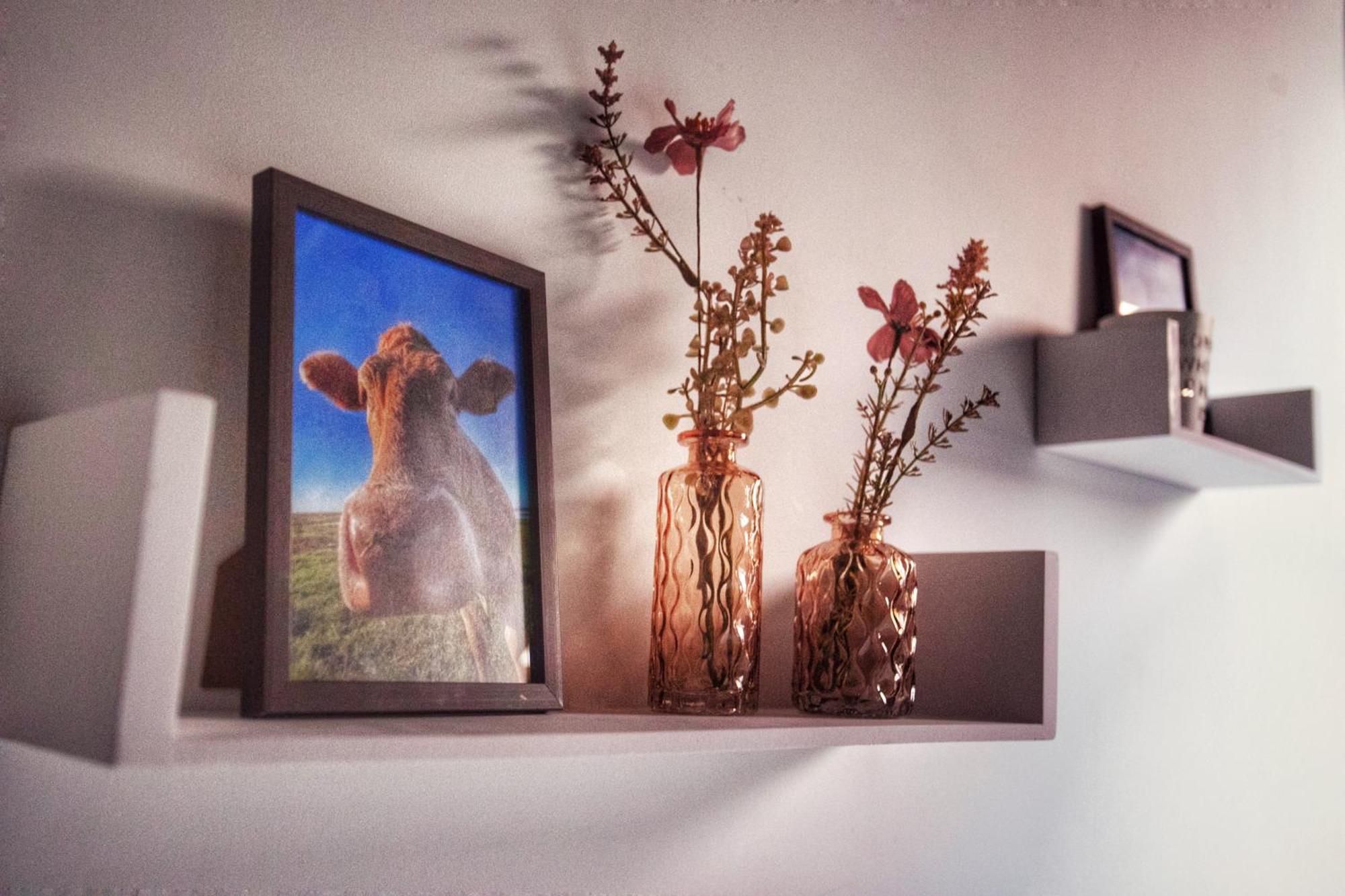 Huize Adriana Guest House Wolphaartsdijk Bagian luar foto